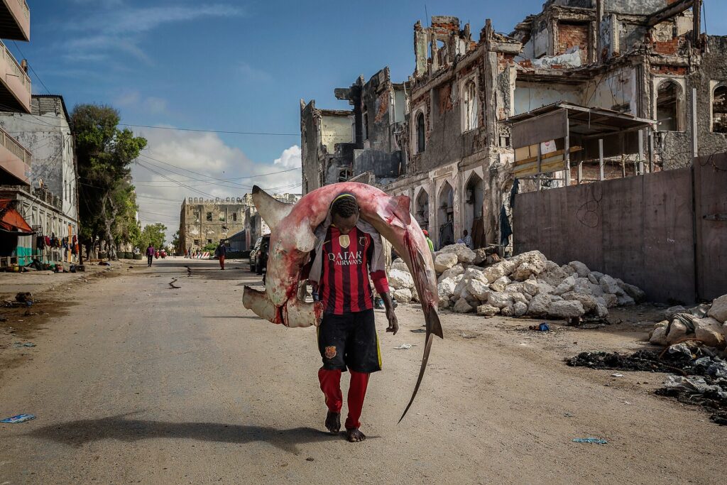 A man carries a huge hammerhead through the streets of Mogadishu.jpg
